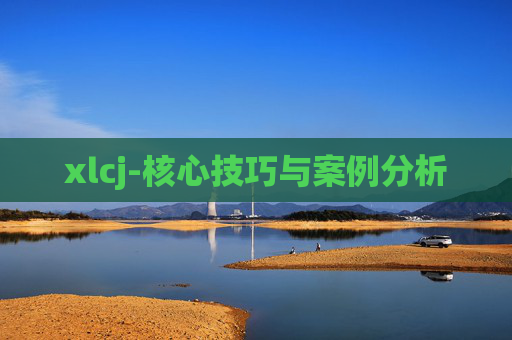 xlcj-核心技巧与案例分析