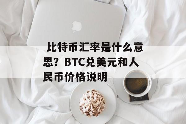  比特币汇率是什么意思？BTC兑美元和人民币价格说明